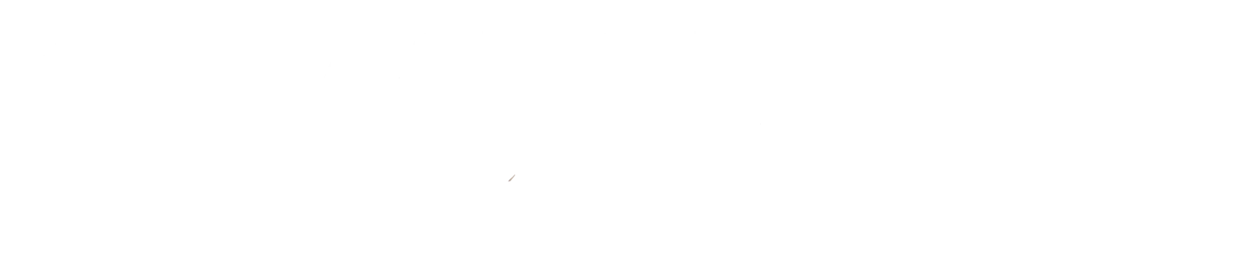 Astori Consulting